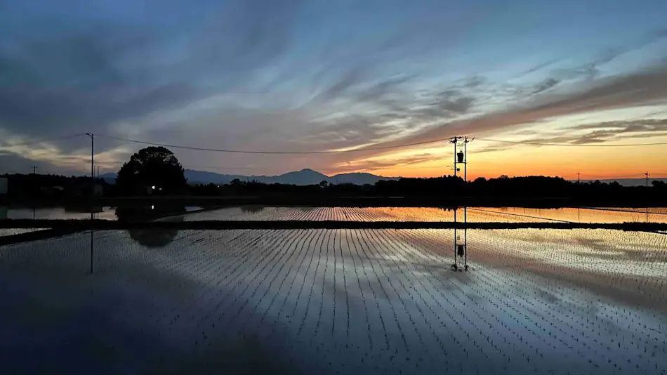 Hanare Rokutsuki / Rokutsuki Farm