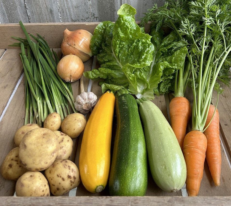 ชุดผักรวม M