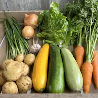 ชุดผักรวม M