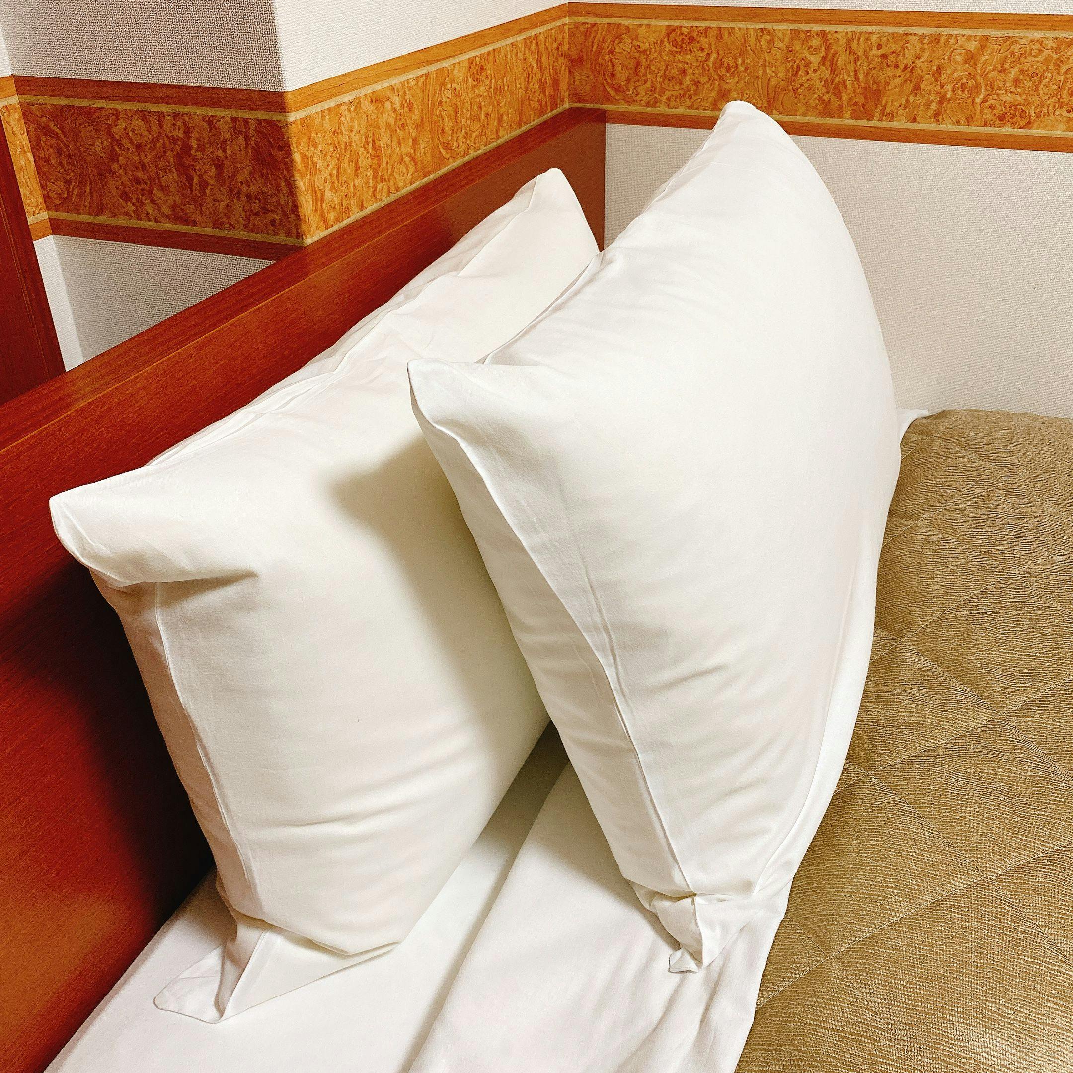Rex Inn Namba