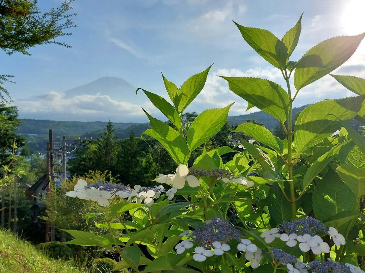 Zekkei Fuji no Yado Rokumeikan HILLS Yamanakako