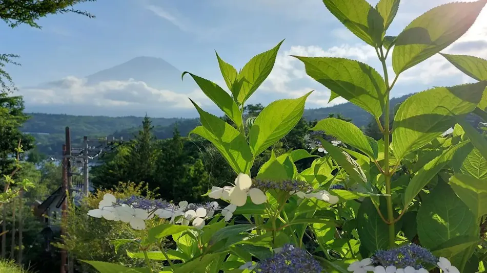 Zekkei Fuji no Yado Rokumeikan HILLS Yamanakako