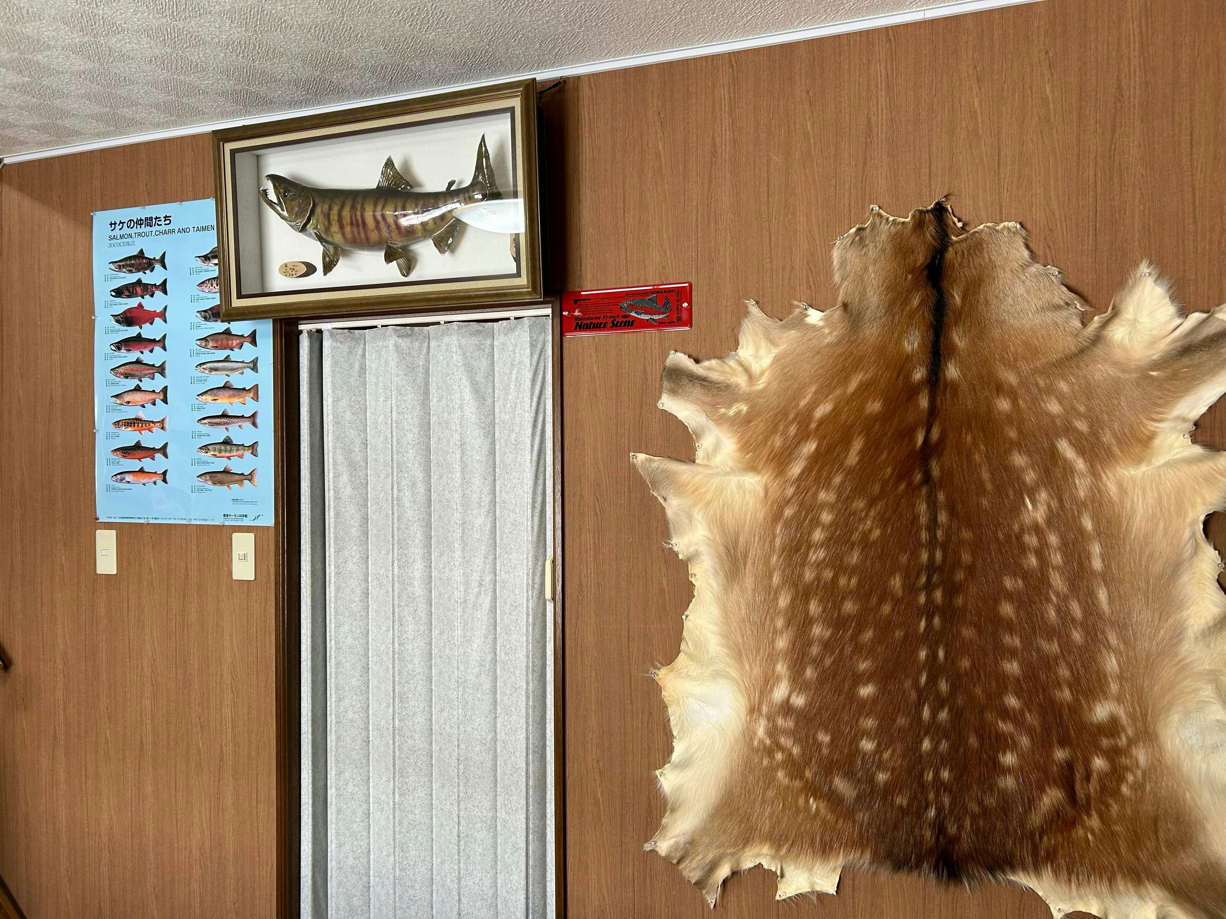 Shiretoko Fishing Guide & Cottage Neko no Shippo