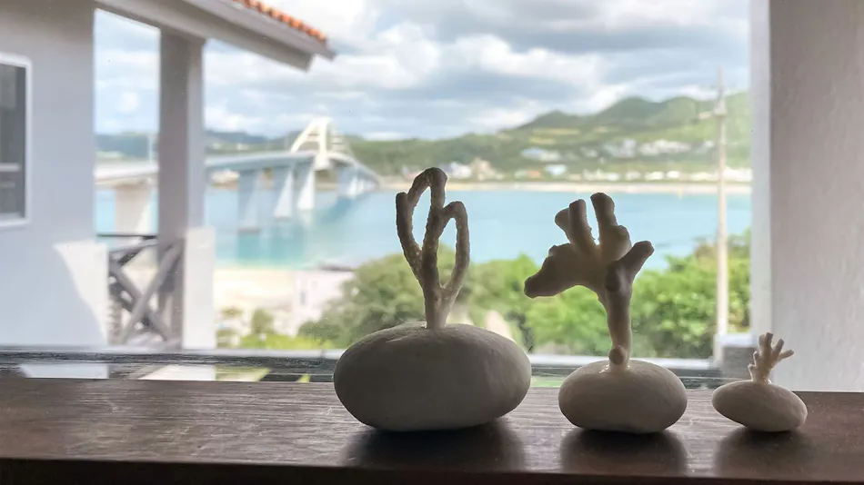 CoCo Resort Sesoko