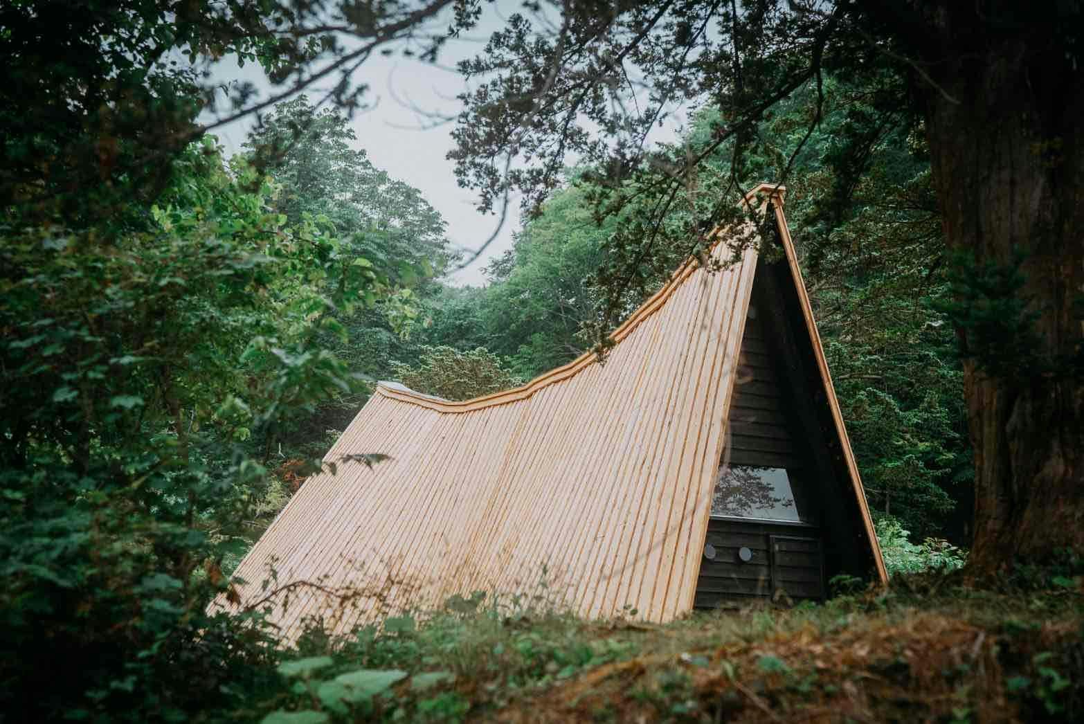 ช่วงหายใจ (ลักษณะภายนอก)