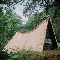 ช่วงหายใจ (ลักษณะภายนอก)