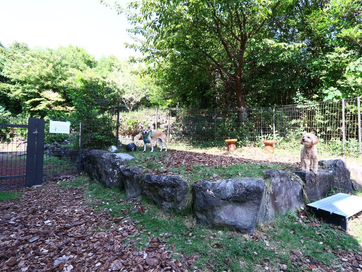 Pet Inn Koropokkuru