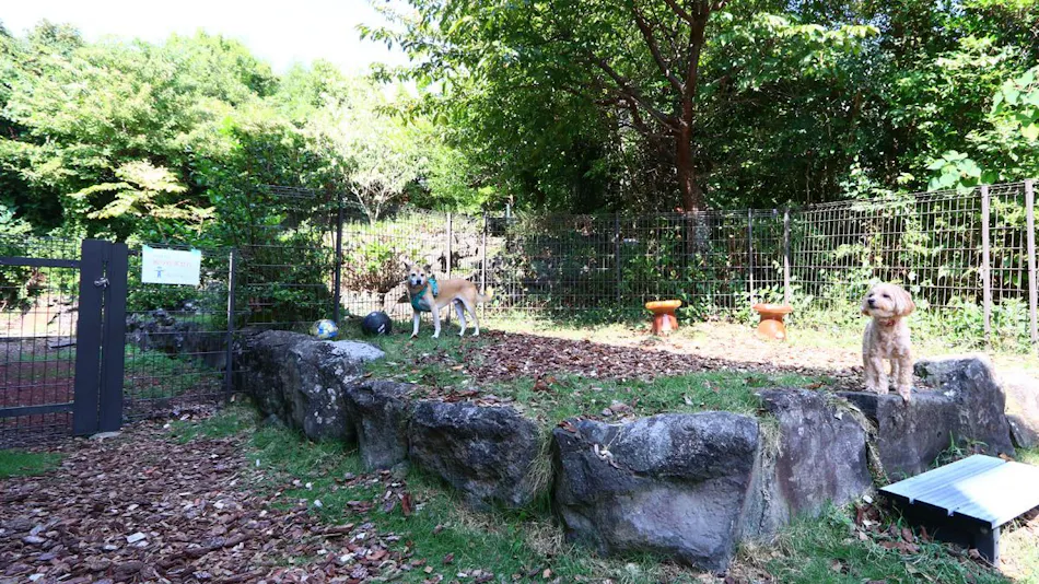 Pet Inn Koropokkuru