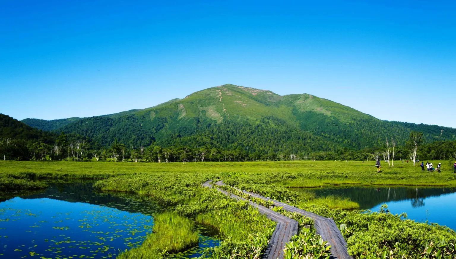PENSION ら・ぱれっと - 【平日限定ガイド付き】自然の宝庫!絶景の尾瀬を歩こう!爽やかな山岳景色を楽しむ旅!2食付き - トリプル ...