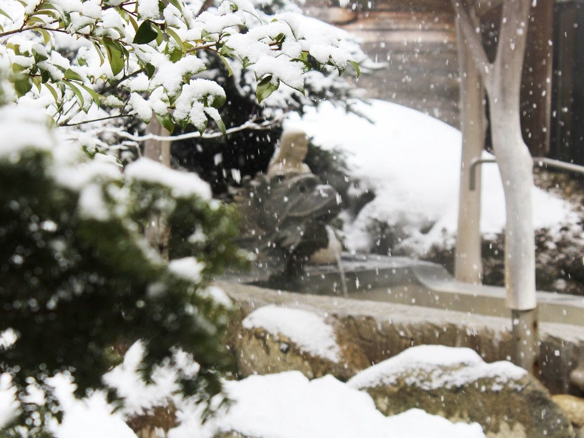 Hagi-en