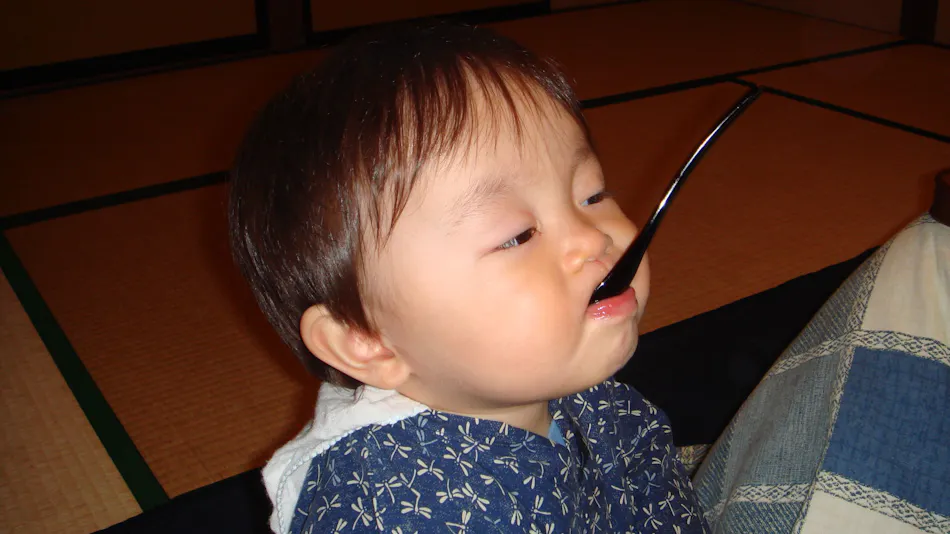 Tenku no Yu Nakaya Ryokan