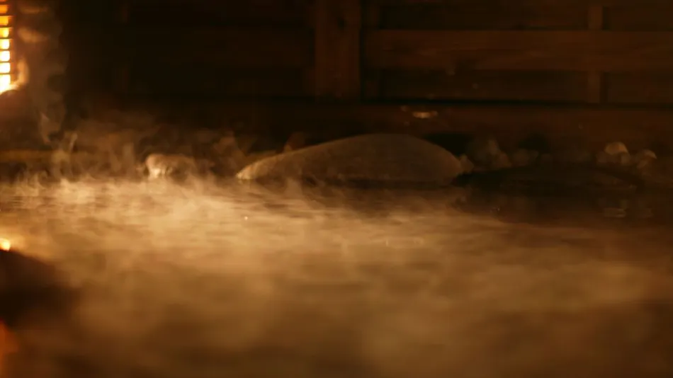 Tenku no Yu Nakaya Ryokan
