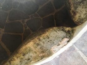 斜里温泉　湯元館