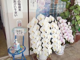 民宿　美波