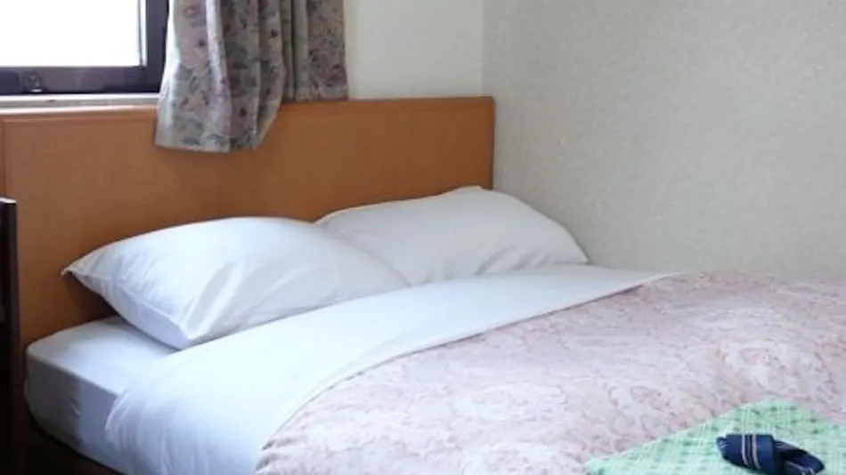 Matsue Urban Hotel Lake Inn