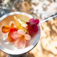 <เลานจ์ มิยาบิ MIYABI>