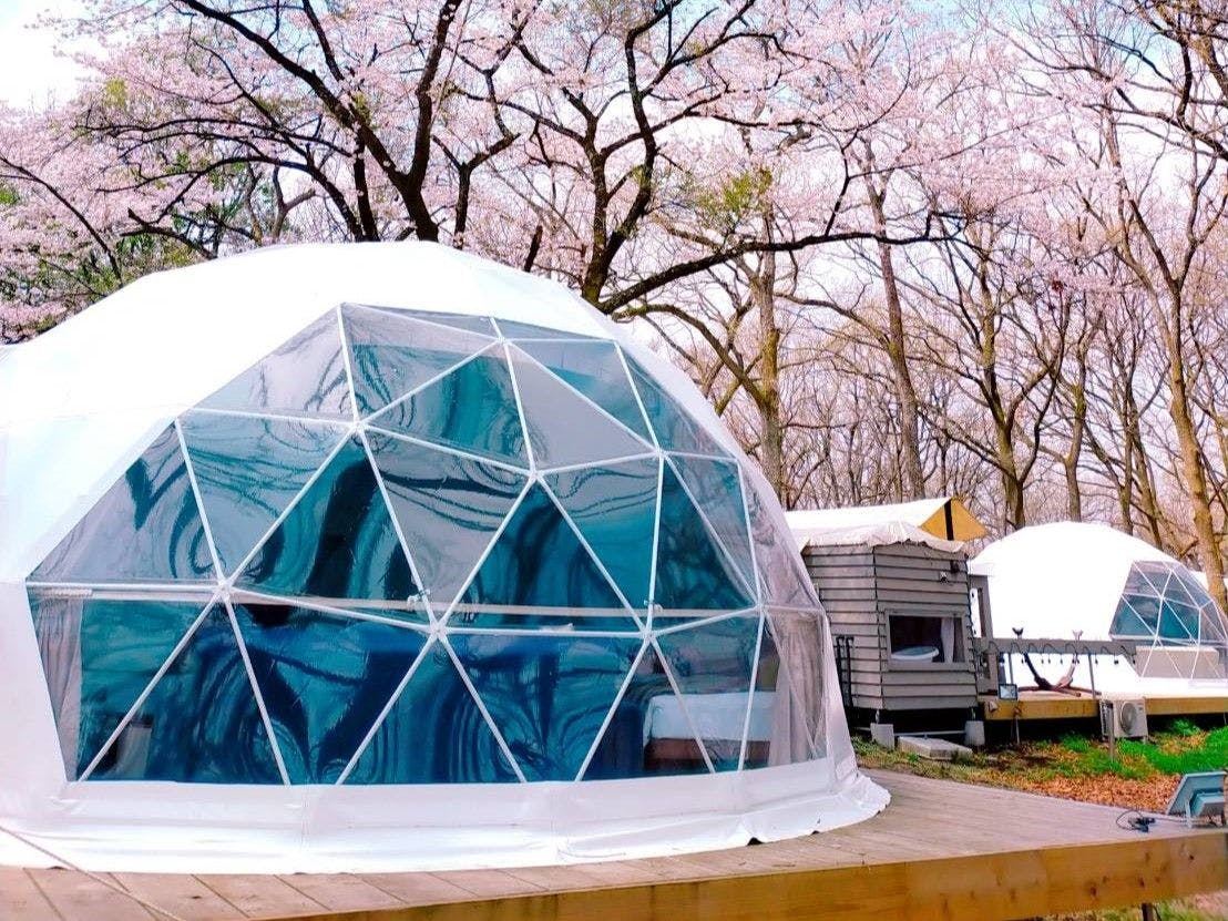 บรรยากาศฤดูใบไม้ผลิ