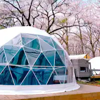 บรรยากาศฤดูใบไม้ผลิ