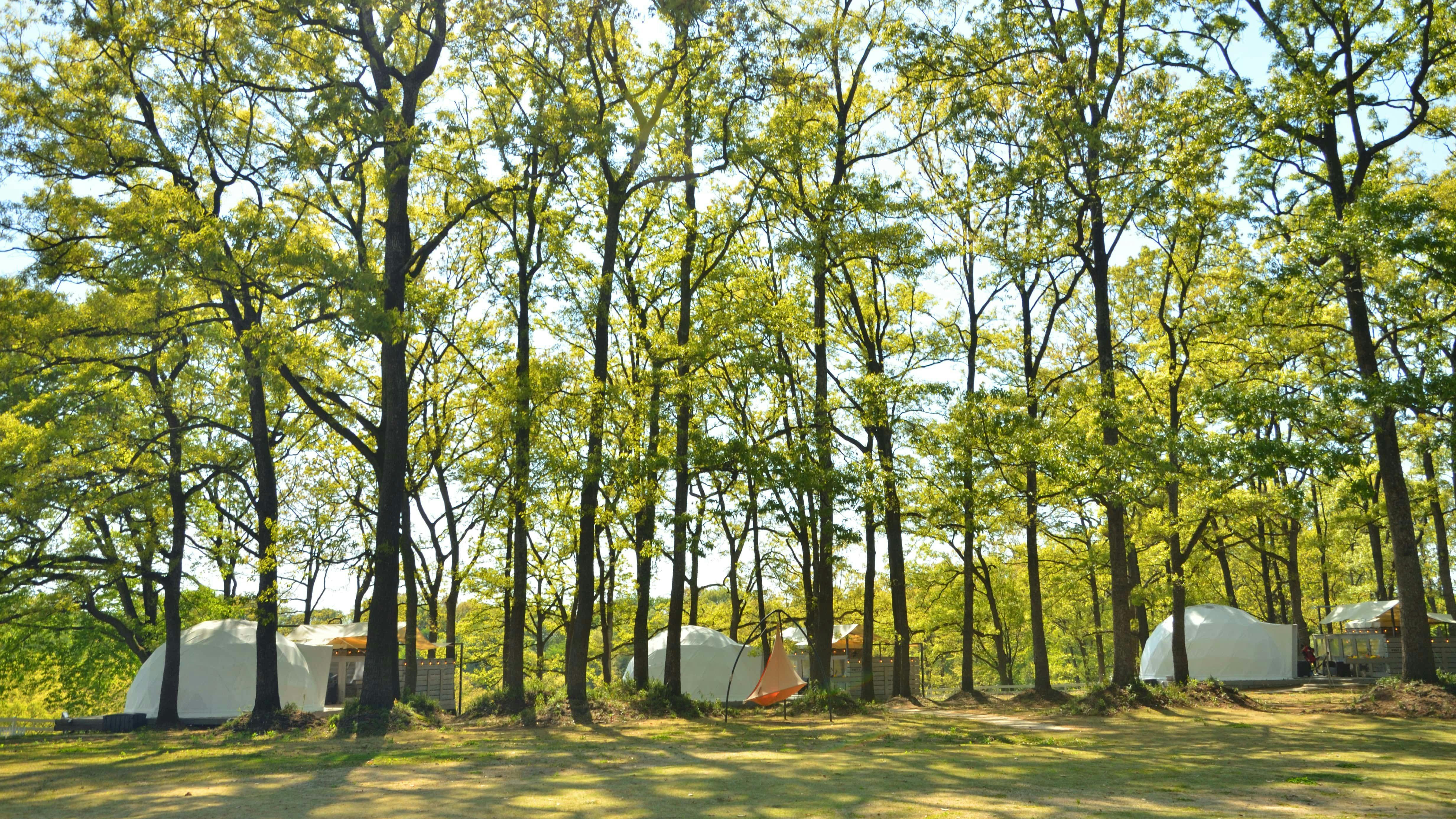 Haga Farm & Glamping