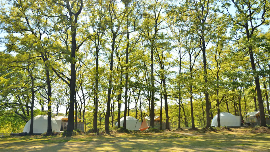 Haga Farm & Glamping
