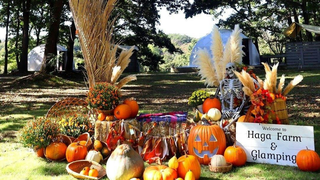 Haga Farm & Glamping