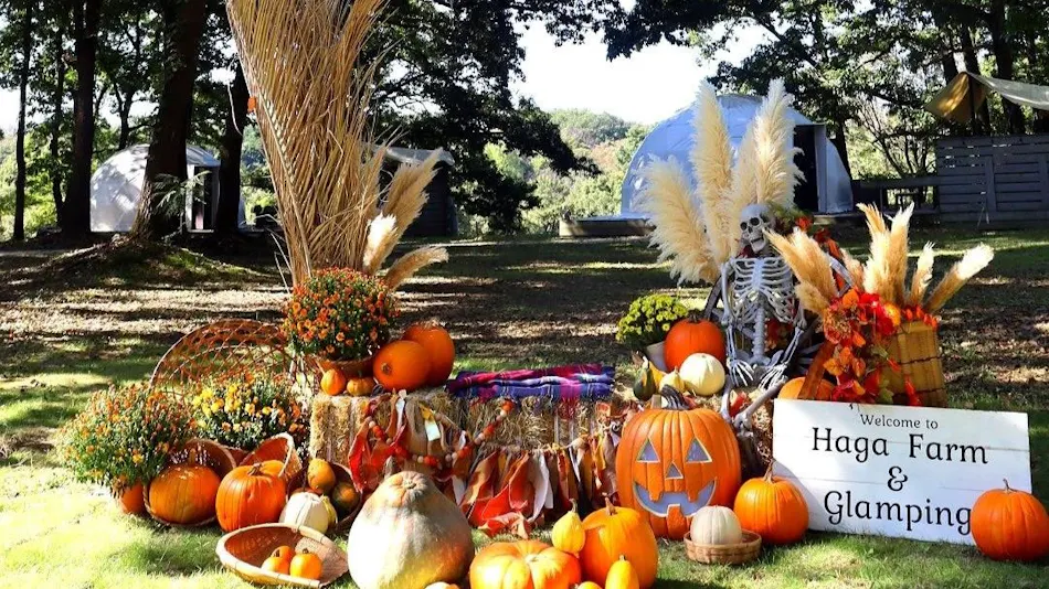 Haga Farm & Glamping