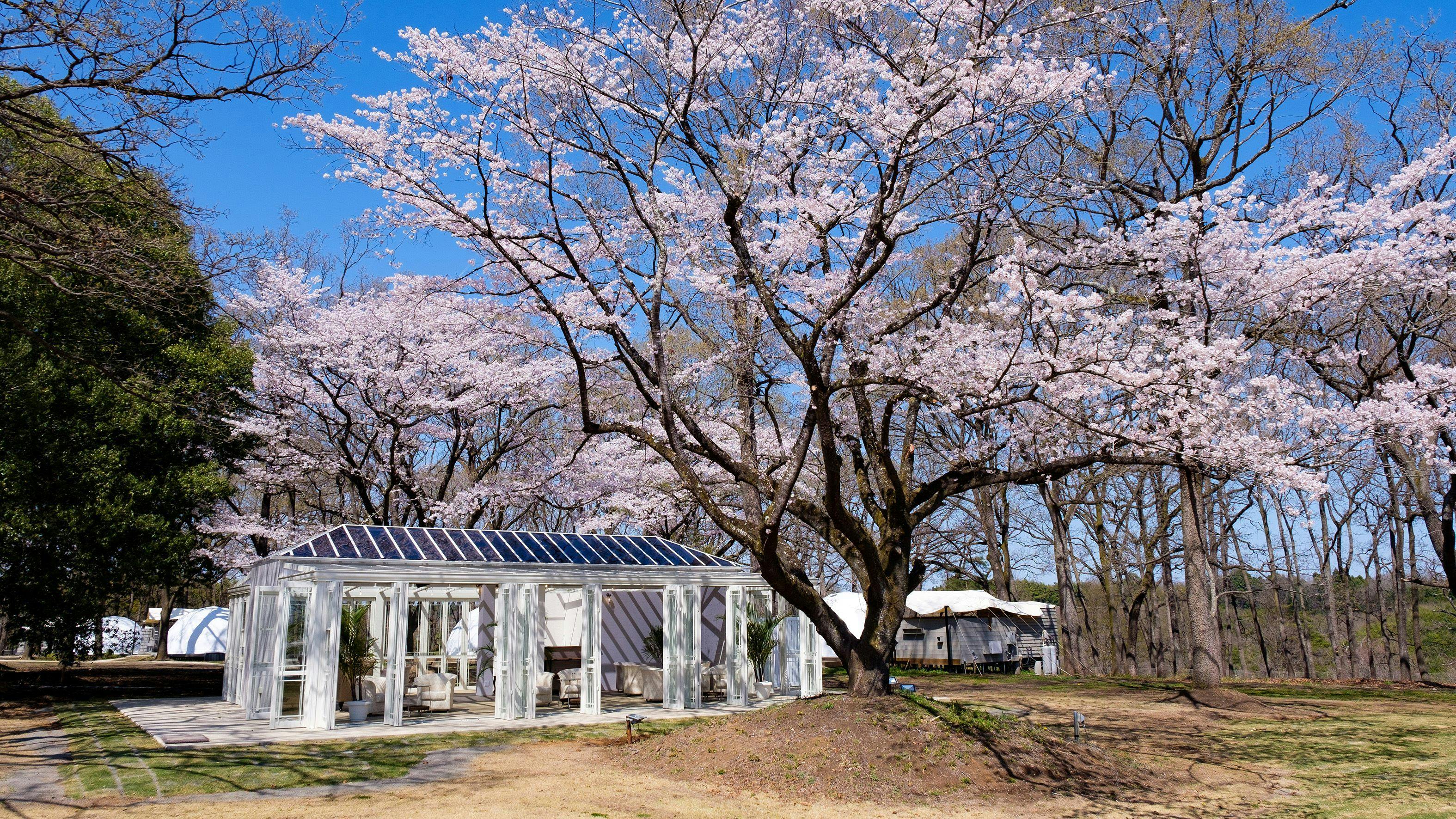 Haga Farm & Glamping