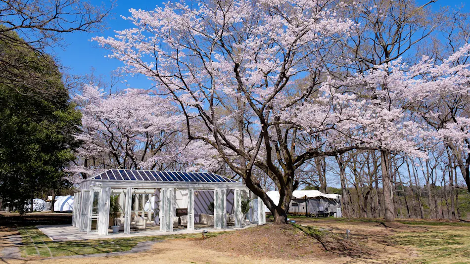 Haga Farm & Glamping