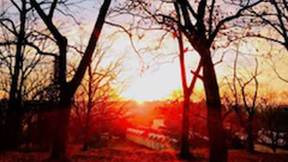 Haga Farm & Glamping