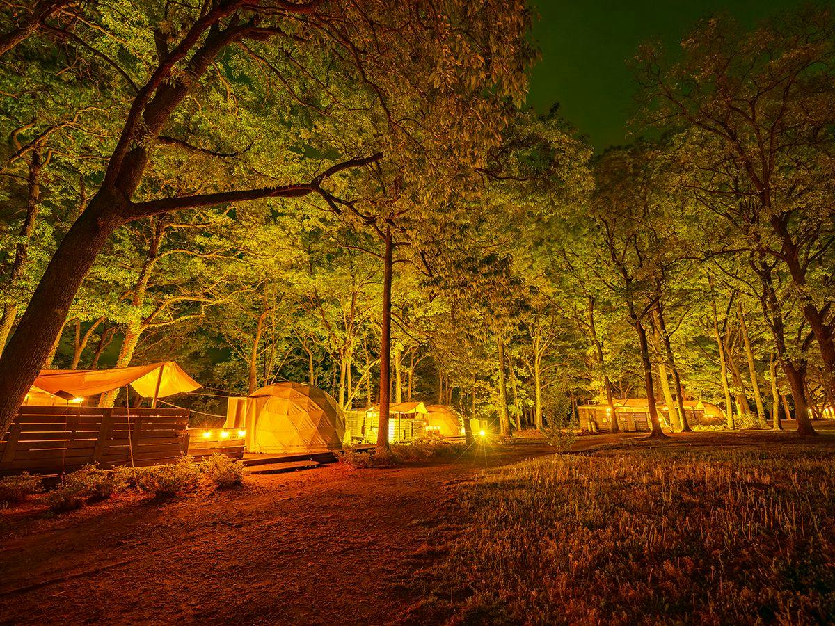 Haga Farm & Glamping