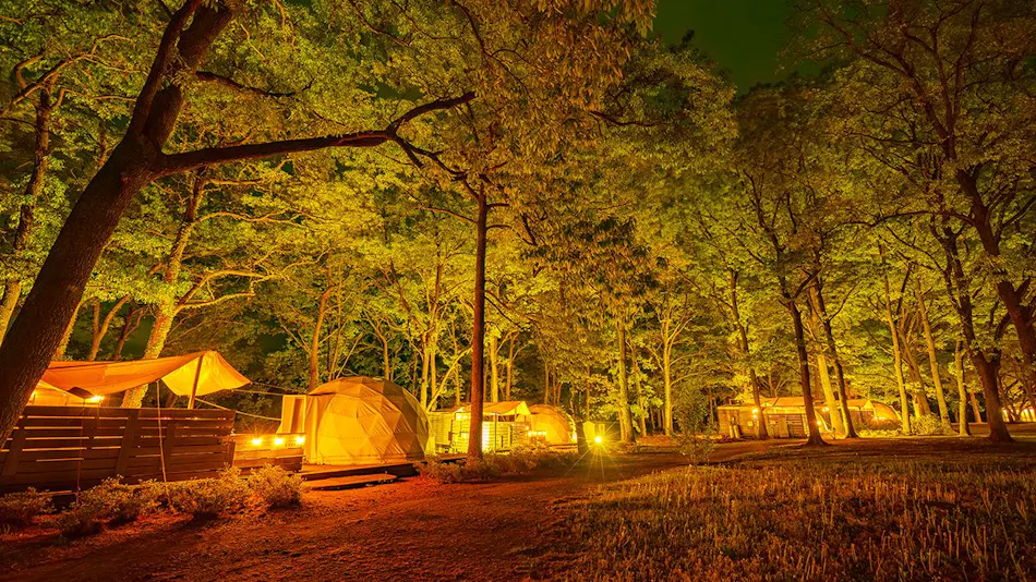Haga Farm & Glamping