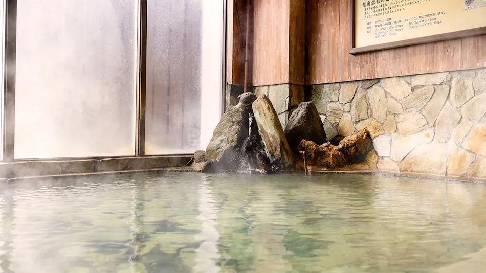 Ibusuki Onsen Hotel Shogetsu