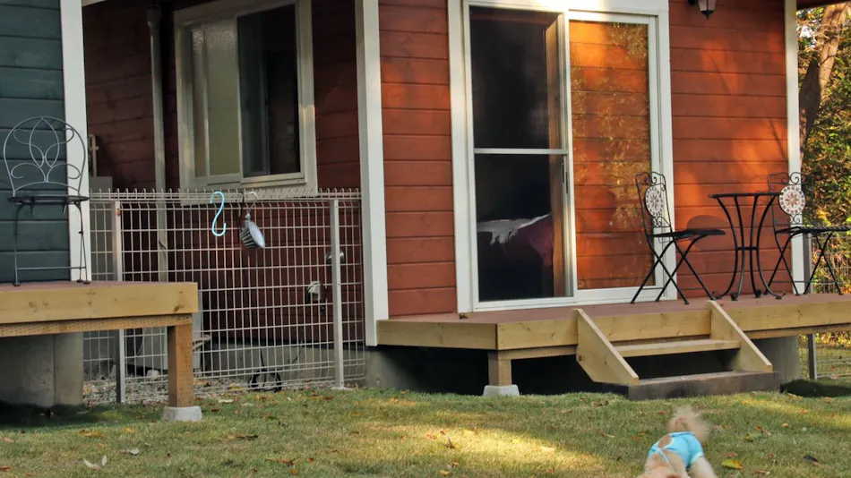 Accommodation where you can stay with your dog - Luakaha