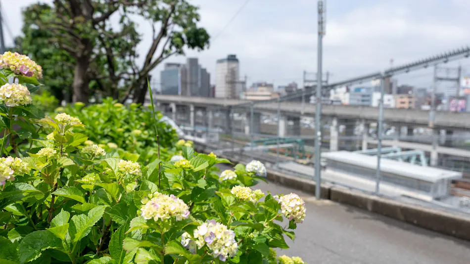 Tabist Tokyo City View Hotel