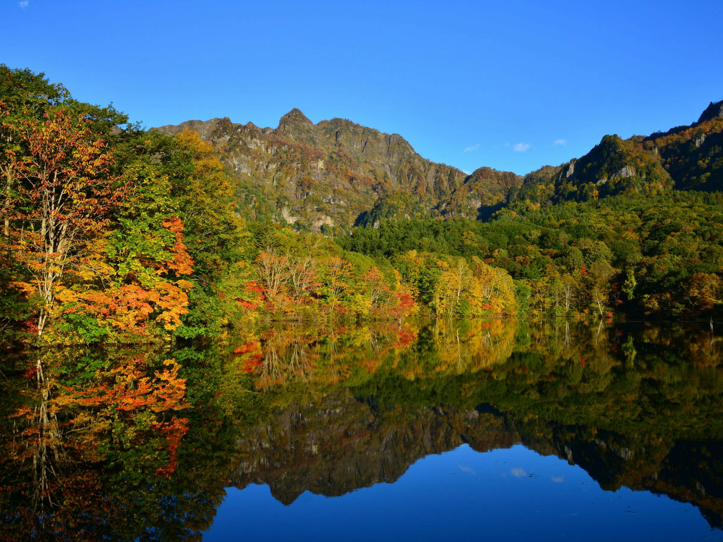 คมะกะเนะในฤดูใบไม้ร่วง