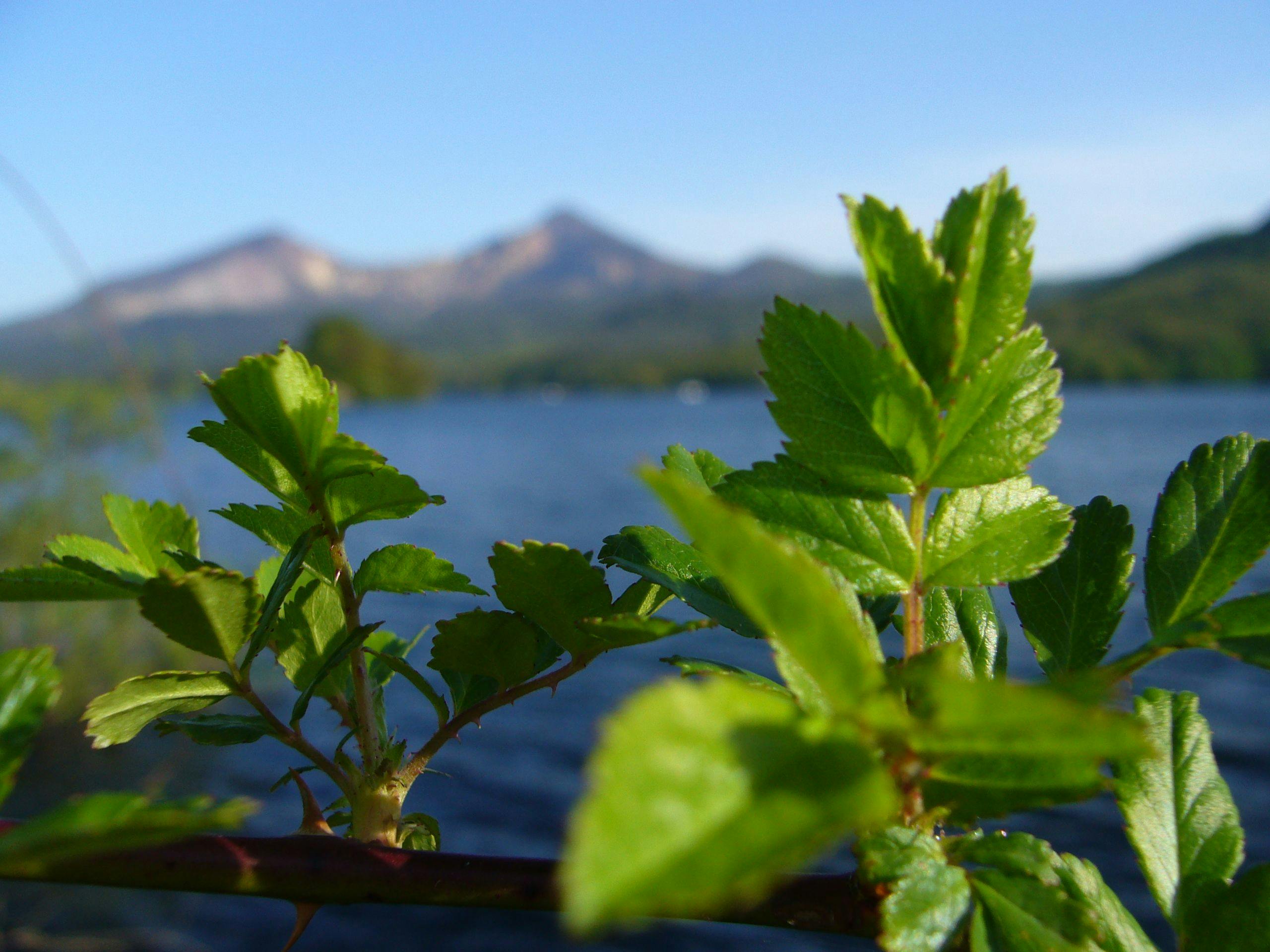 【Musim Panas】Gunung Bandai yang terlihat dari Danau Hibara sungguh istimewa♪