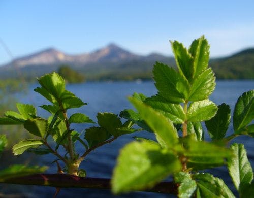 【夏】桧原湖越しの磐梯山はまた格別♪