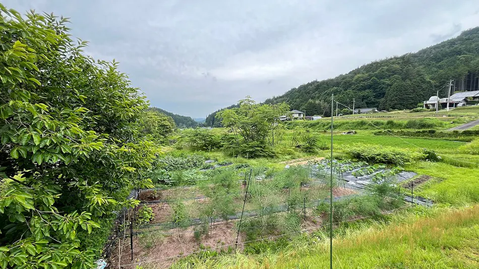 Minpaku Utoka