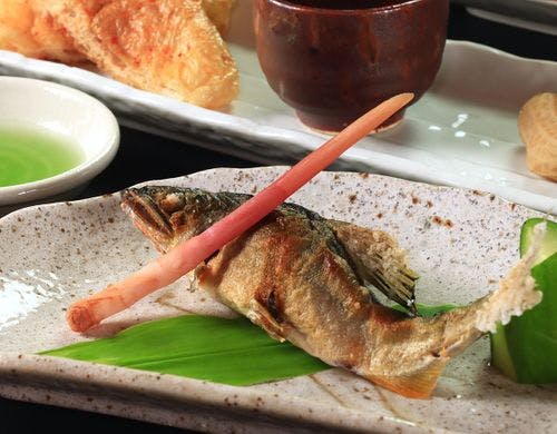 【夕食 鮎の塩焼き】