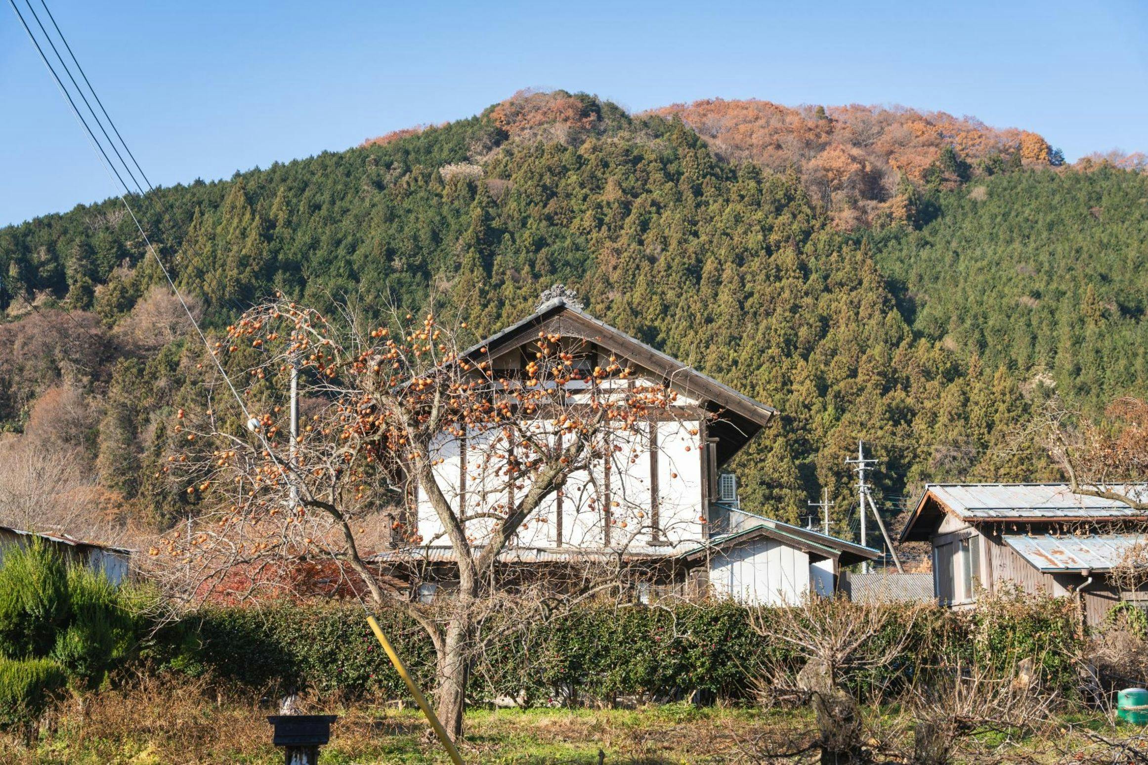 치치부의 산골에 위치한 고택