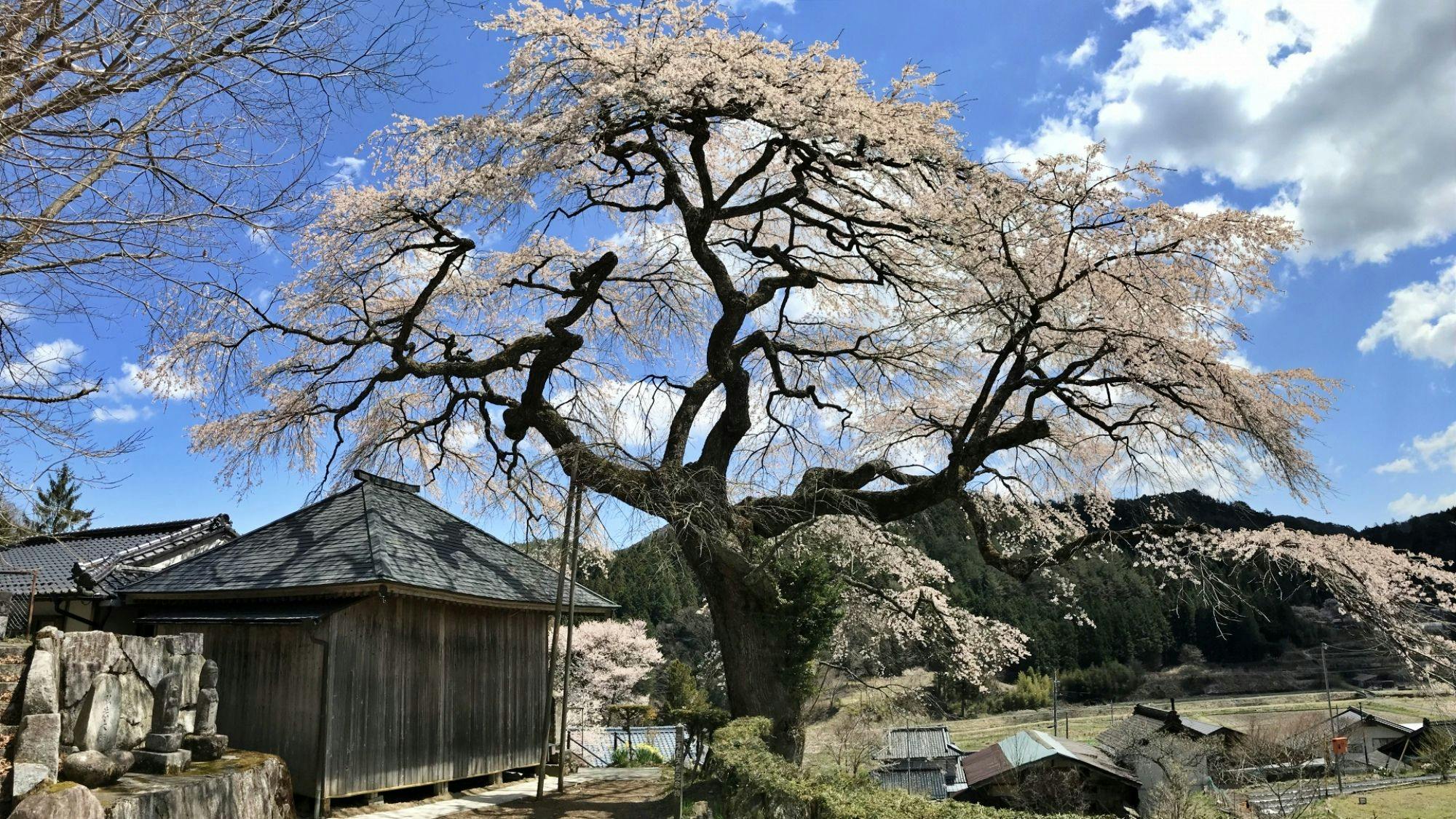 วัดคันนน หมู่บ้านอุเรคิมูระ