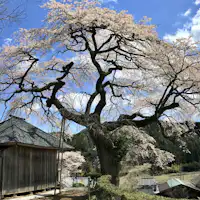 วัดคันนน หมู่บ้านอุเรคิมูระ