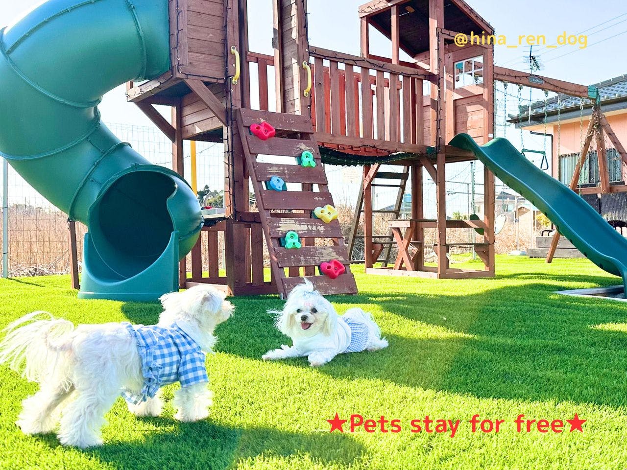 สัตว์เลี้ยงเข้าพักฟรี