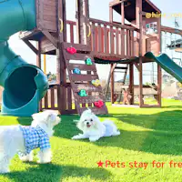 สัตว์เลี้ยงเข้าพักฟรี