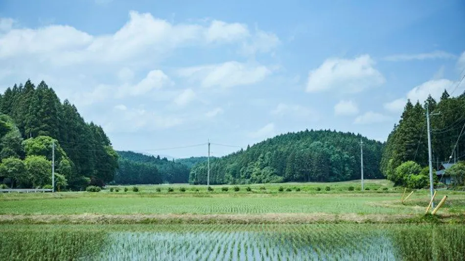 Kominka WASHINKAN HOUSE