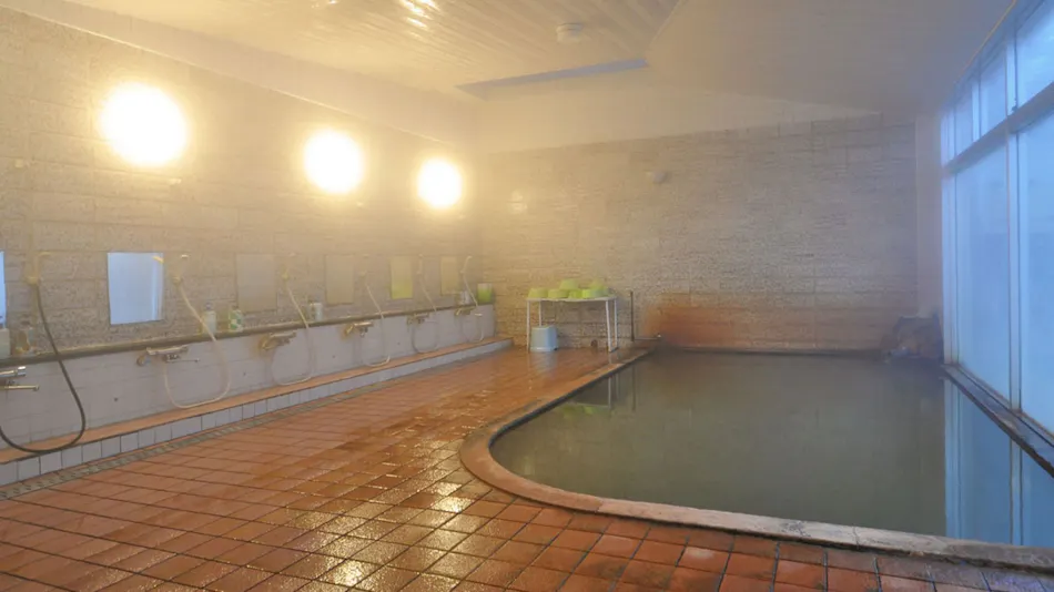 Miichi Onsen Ryokan