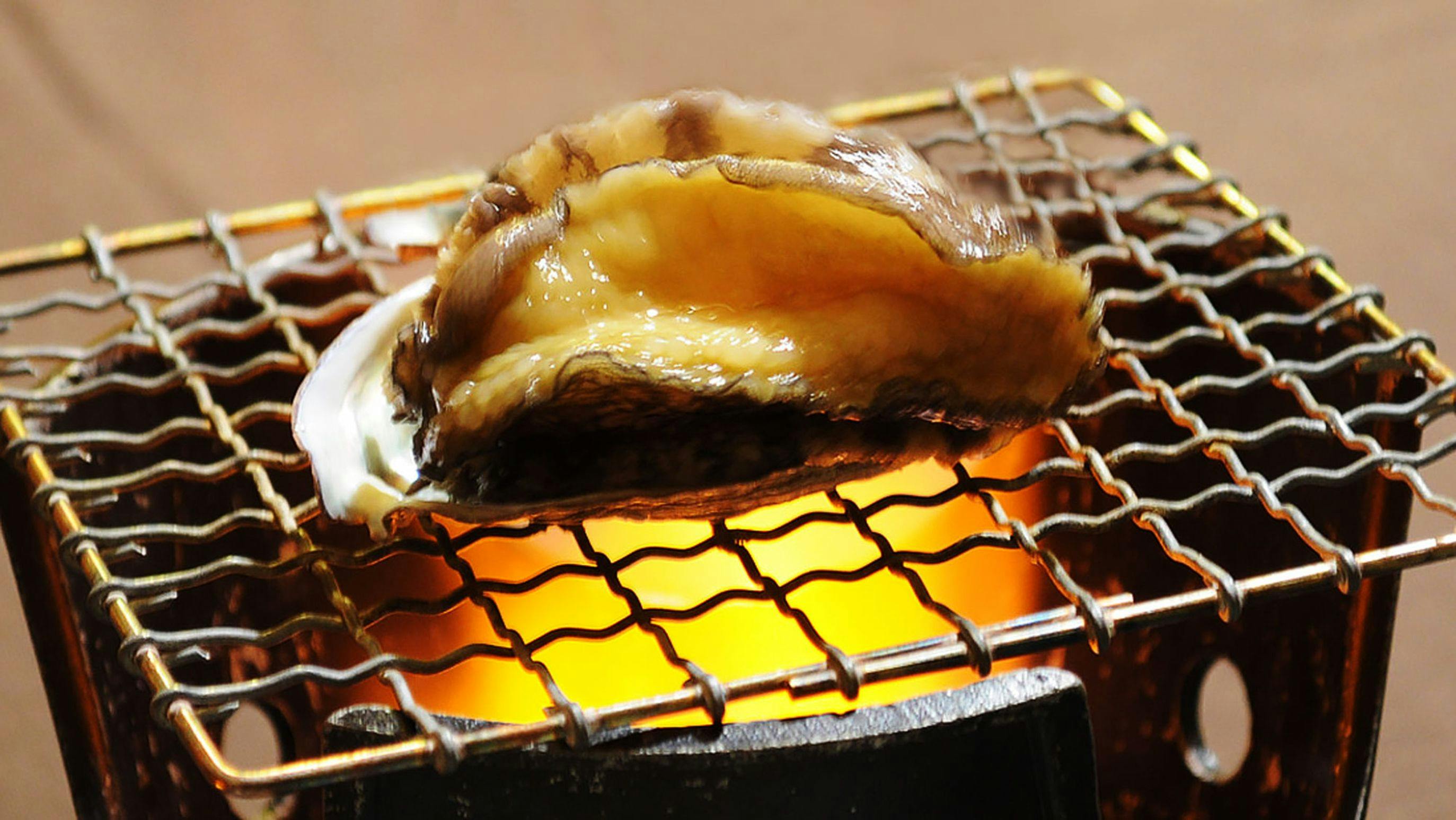 Miichi Onsen Ryokan