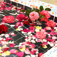 อ่างอาบน้ำดอกกุหลาบ