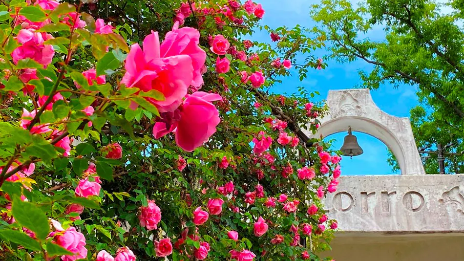 Marinzoro Resort