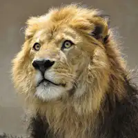 สวนสัตว์ฮิงาชิยามะ